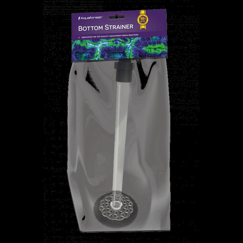 New Job Encouragement: Finding Your Path To Success