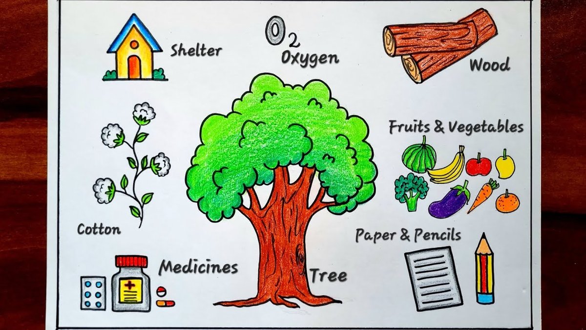 Things to work on at work: Habits and routines